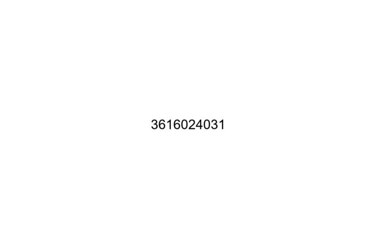 3616024031