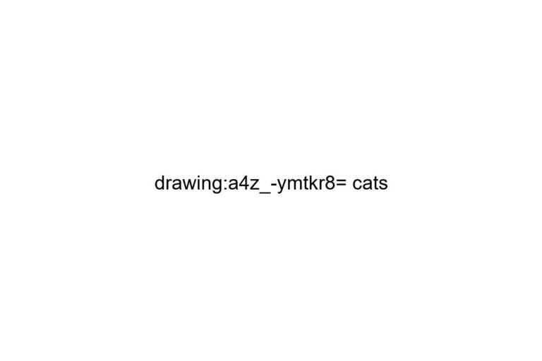 drawing a4z ymtkr8 cats