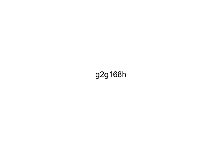 g2g168h