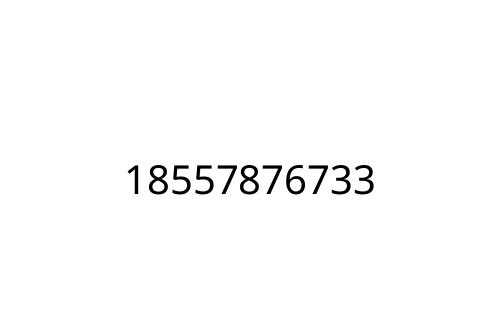 18557876733