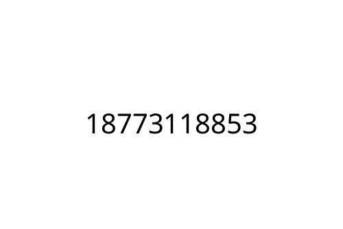 18773118853