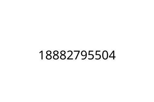 18882795504