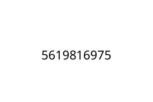 5619816975