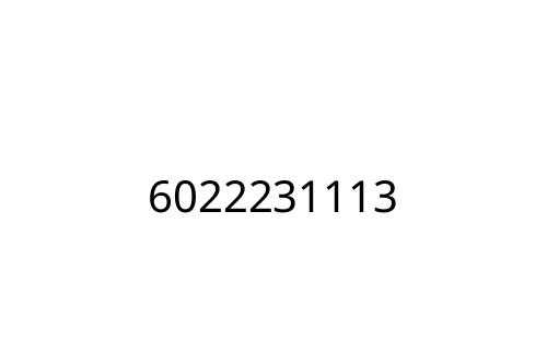 6022231113