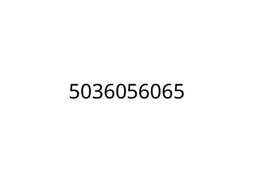 5036056065