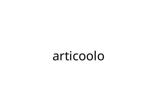 articoolo