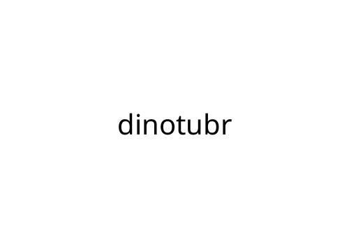 dinotubr