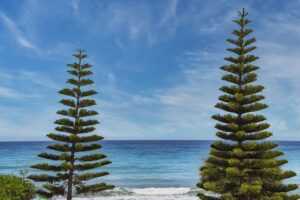 gaming wallpapers sick cool fortnite backgrounds