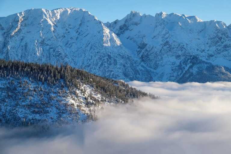 sannwamekki