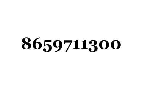8659711300