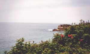 safesport unit 1 post test answers