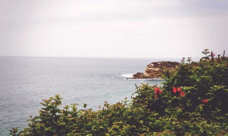 safesport unit 1 post test answers