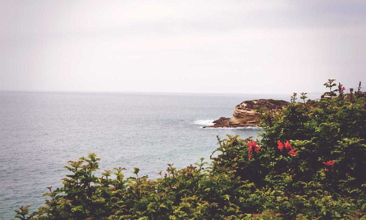 safesport unit 1 post test answers