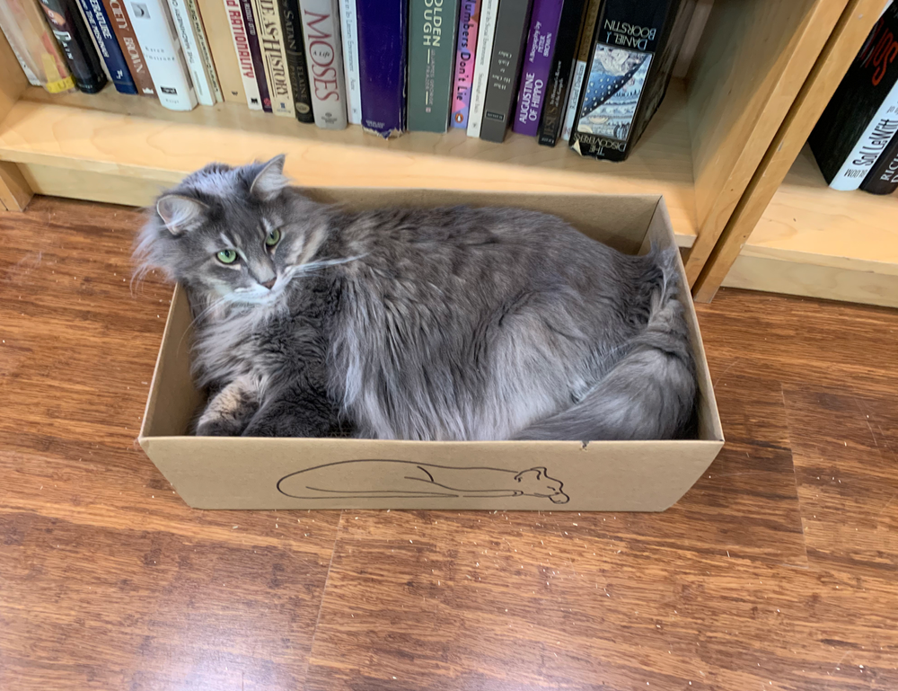 sarah j maas books in chronological order