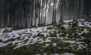 sarah j maas books in order of release