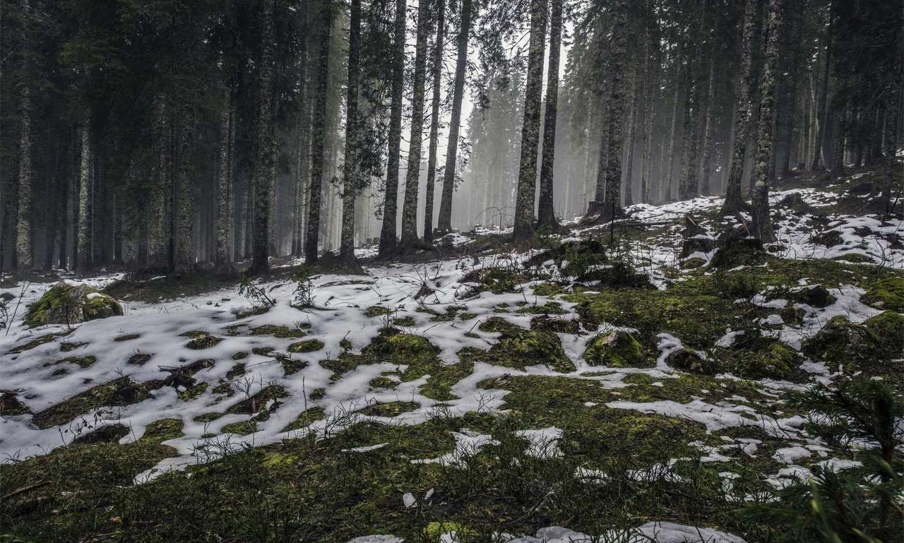 sarah j maas books in order of release