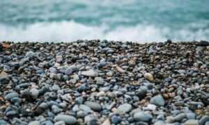 sarah j maas order of books