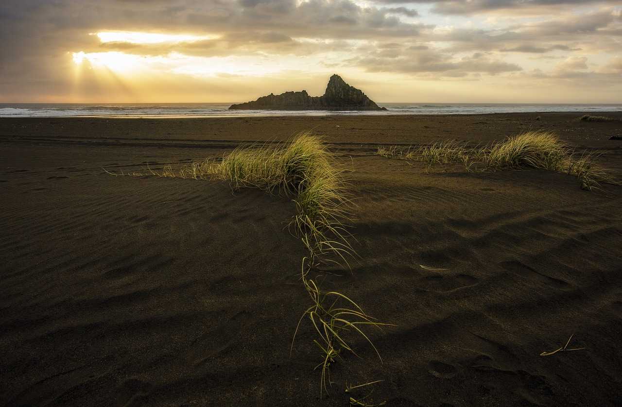 series llc vs professional llc alabama