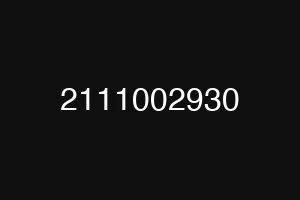 2111002930