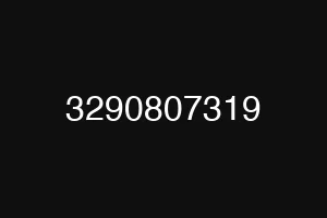 3290807319