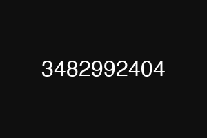 3482992404