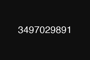 3497029891