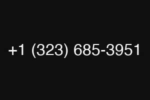 +1 (323) 685-3951