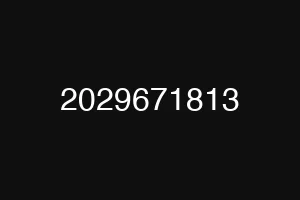 2029671813