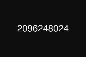 2096248024