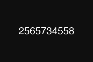 2565734558