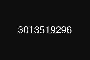 3013519296