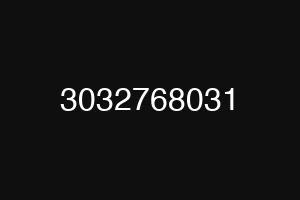 3032768031