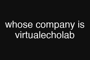whose company is virtualecholab